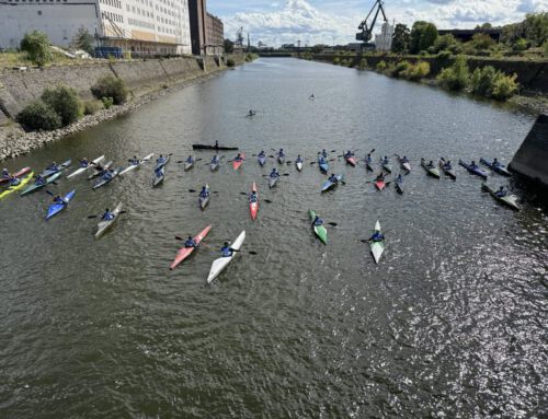 Das große Wappen von Köln 2025